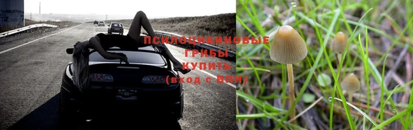 mdpv Алексеевка