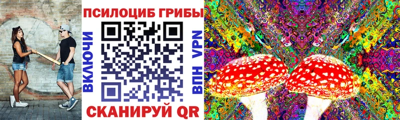 Псилоцибиновые грибы ЛСД  Приморск 